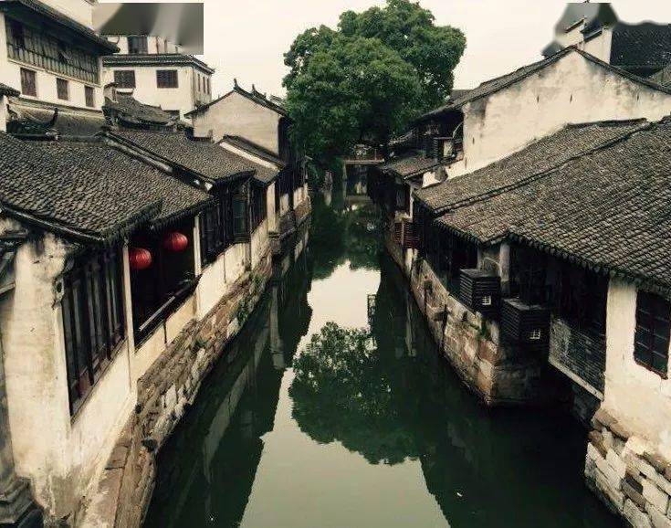 巴西中部大豆种子质量差可能是个问题